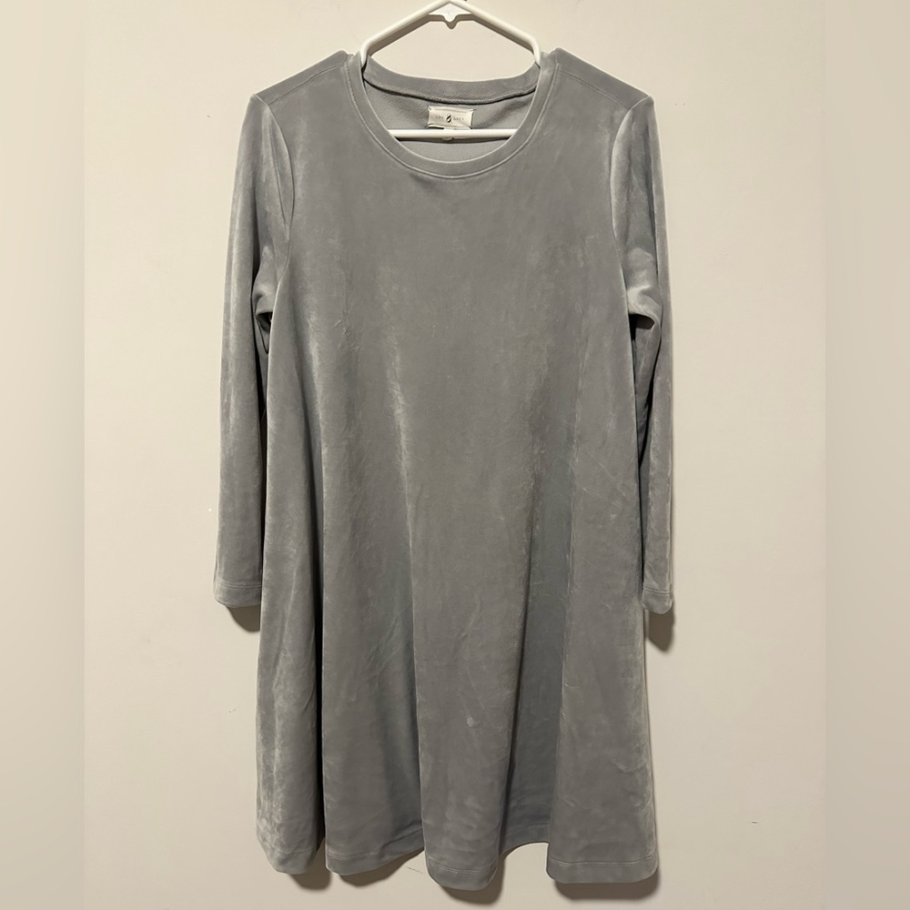 Lou Grey Silver Velvet Swing Dress